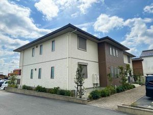 ｌｕｍｉｅｒｅ・ｄｏｕｃｅ