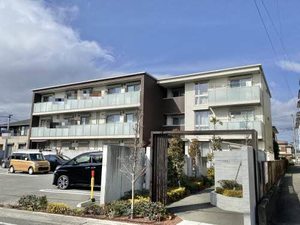 シトラスグレイス