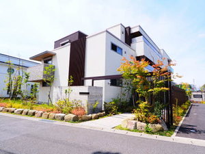 Ｗｉｓｔｅｒｉａ片平