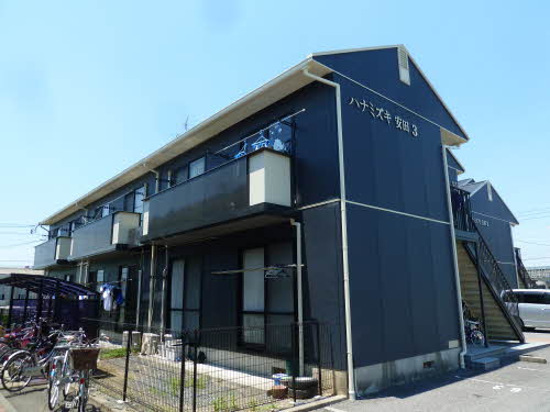 ハナミズキ安田３M101-1