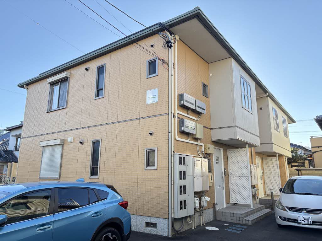 ピュアライムⅡ0101-1