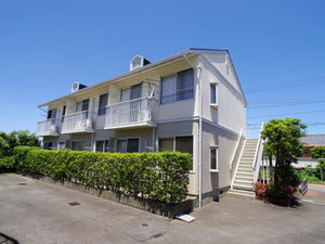 パックスヘイブン A201号-1