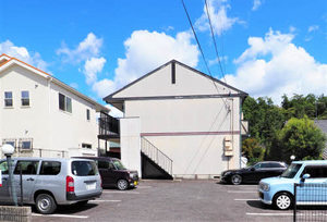 アベニュー松山 0203号-1