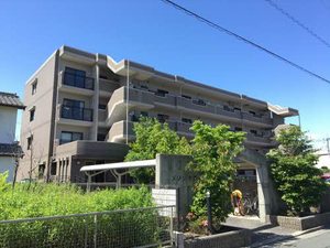 メゾン新井 0302号-1