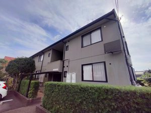 ピュイブラン茶畑