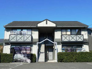 サニーグレイス