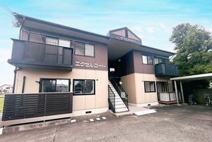 エクセルコート 0101号-1