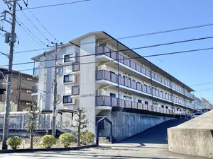 プリマべーラＳ