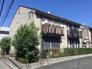 タウニーＳ．Ｋ