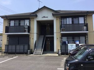 オレンジペコ 0102号-1