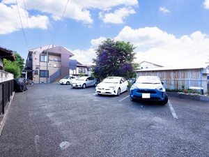 Ｚｅｈｎ 0203号-12