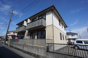 ステラゴーユー