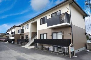 ＷＨＩＴＥ　ＷＯＯＤ