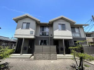 ノースアベニュー