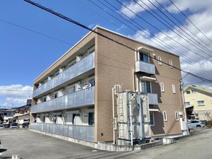 ＢＥＲＥＯオリエンス 0303号-1