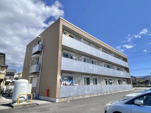 BEREOオリエンス 0303号-14