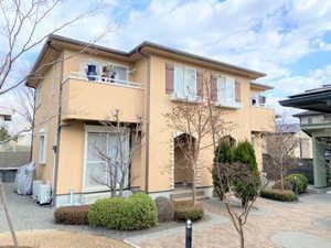 杉ノ木スクエアー B101号-1