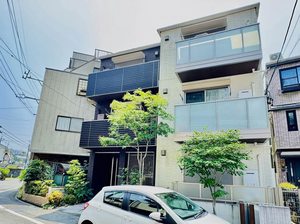 Ｄｒｅａｍｉｏ 0205号-1