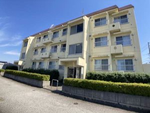 Ｂｅｌ　Ａｖｅｎｉｒ　Ａｋｉｙｏｓｈｉ 0303号-1