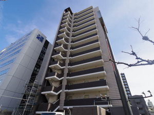 Ｒｅｇｉｏ　Ｌｉｖｉｅ