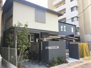 アベニューＴｏｙｏ 0203号-1