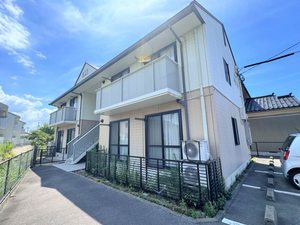 ディアス　ベル　フエーベ 0101号-1