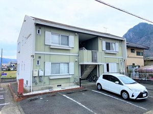 ロワイムクリサンセーム