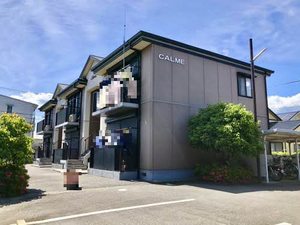 ＣＡＬＭＥ 0103号-1