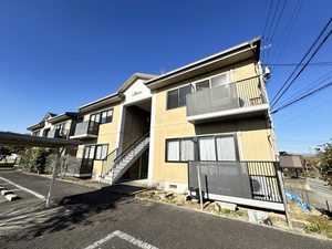 ラポールカイト A202号-1