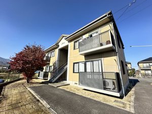 ラポールカイト D201号-1