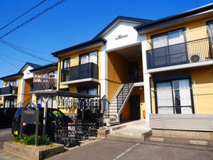 ザミレニアム B202号-1