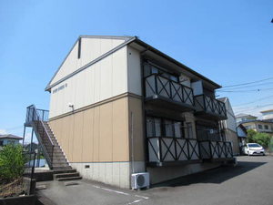 ＥＶＥＲ　ＧＲＥＥＮ