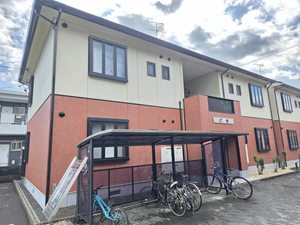 プリムローズ