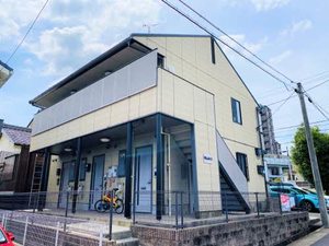 ＭＥＲＶＥＩＬＬＥ　Ｙ２