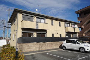 Ｃｈｅｌｓｅａ