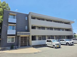 メゾン・ド・リッツ弐番館 B302号-1