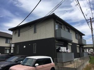 バンブバレ A201号-1