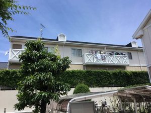 ＬａＶｉｅ３８