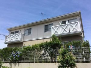 ＬａＶｉｅ３８ E202号-1