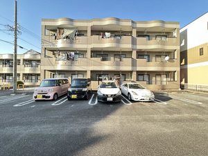 ドリームフェアリー 0202号-1