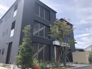 ベレオミロディア