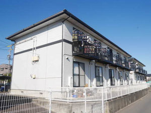 シダー’Ｓガーデン