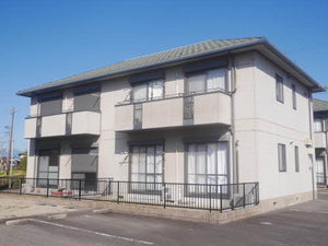 シダー’Ｓグランデ