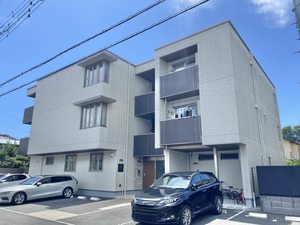 Ｂｌｕｅ　Ｔｒｅｅ