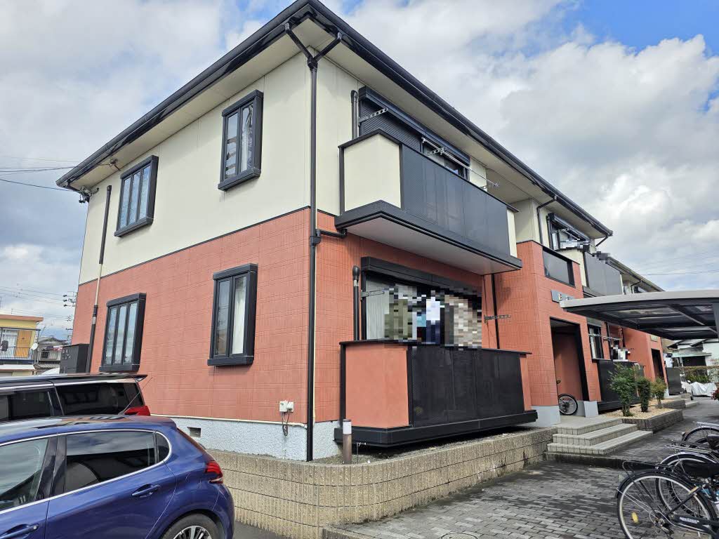 プリムローズB101-1