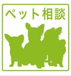 コートエスパシオⅡ 0102号-14