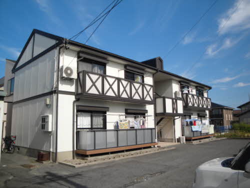 フレグランスオオクラ