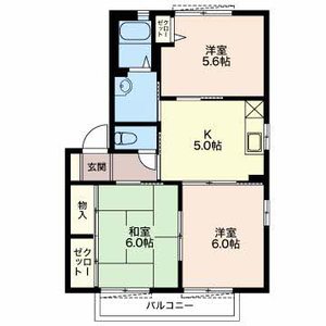Sugar Haim D201号-3