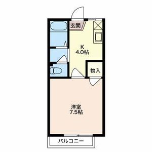 フレグランス桔梗 0203号-16