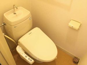 ローヤルハイツ A102号-13